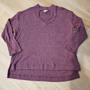 Terra & Sky Women's Purple V-Neck Sweater Size 1X EUC